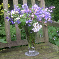 April flowers 2008. April flowers 2008.