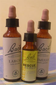 bach remedies