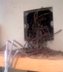 chimney plate in wall chimney plate in wall