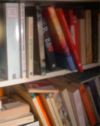 laden bookshelf detail laden bookshelf detail