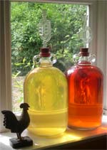 peapod and damson wine