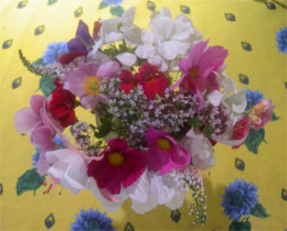 posy august 2008 posy august 2008