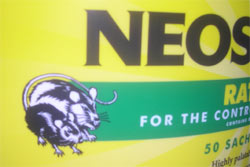 rat poison rat poison
