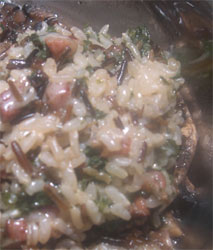 succulent stuffed mushrooms succulent stuffed mushrooms