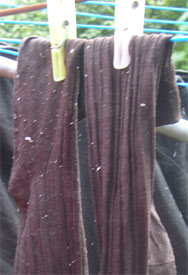 Danny's socks with a tissue relish