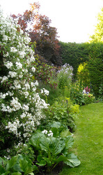 Photo: The herbacious border that I am extending