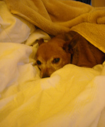 Photo: Dr Quito posing with the new bed jacket