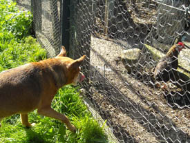 Photo: Dr Quito observing Baby