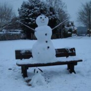 The snow dog