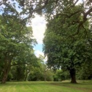 Sunday walks
