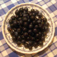 Fermented sloe gin recipe: a new approach to making sloe gin