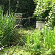 The role of Beekeeper’s Assistant is now a permanent position