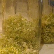 Elderflower recipes from Cottage Smallholder