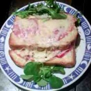 Lunch brunch snack recipe – easy, fast and delicious