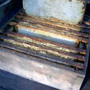 Guest Spot: The First Honey Harvest by Robert Altham (part one)