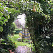 Bottled Fruit: Belgian Pears recipe
