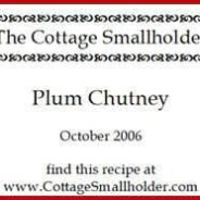 Design and print your own labels for jam and jelly