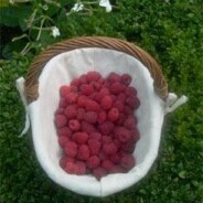 Raspberry vodka recipe