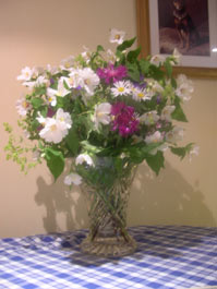 June flowers with Philadelphus Belle Etoile