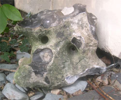 The Jester Stone