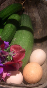 courgettes, sweet peas and eggs
