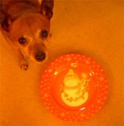 Doctor Quito and Christmas plate.jpg