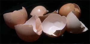 eggshells