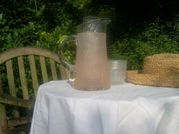 Elderflower and pink Grapefruit cocktail