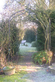 frosty garden