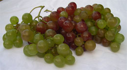 more grapes