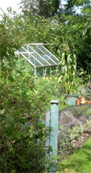 our greenhouse