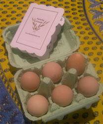 guinea fowl eggs