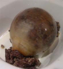 baked haggis