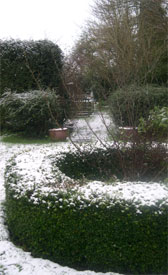 box and yew hedges