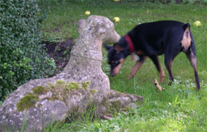 Inca and stone dog