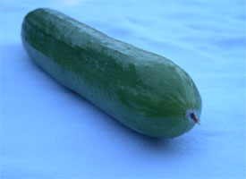 cucumber, one of a glut