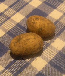 new potatoes