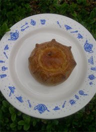 pork pie indulgence