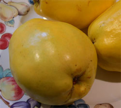 quinces on plate