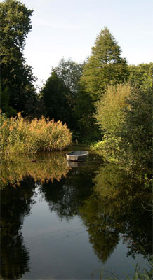 rowing boat on pond in Beth Chatto's garden