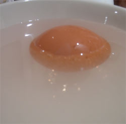 salt water and egg