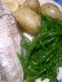 sea bass and samphire