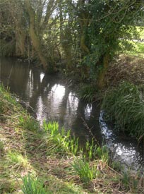 natural stream