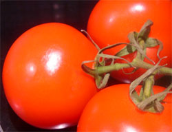 organic tomatoes