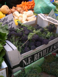 English purple sprouting broccoli at Borough Market