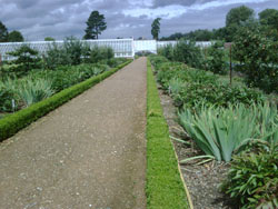 view of kitchen garden and glasshouses at Audley End