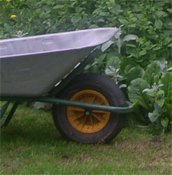 wheelbarrow