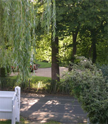 willow tree and gate