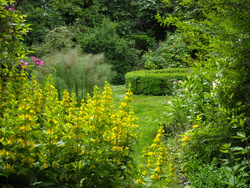 Photo: View from the bower July 2009
