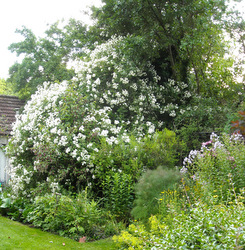 Photo: Remembering the exuberance of June